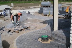 niisama pildid 260.JPG